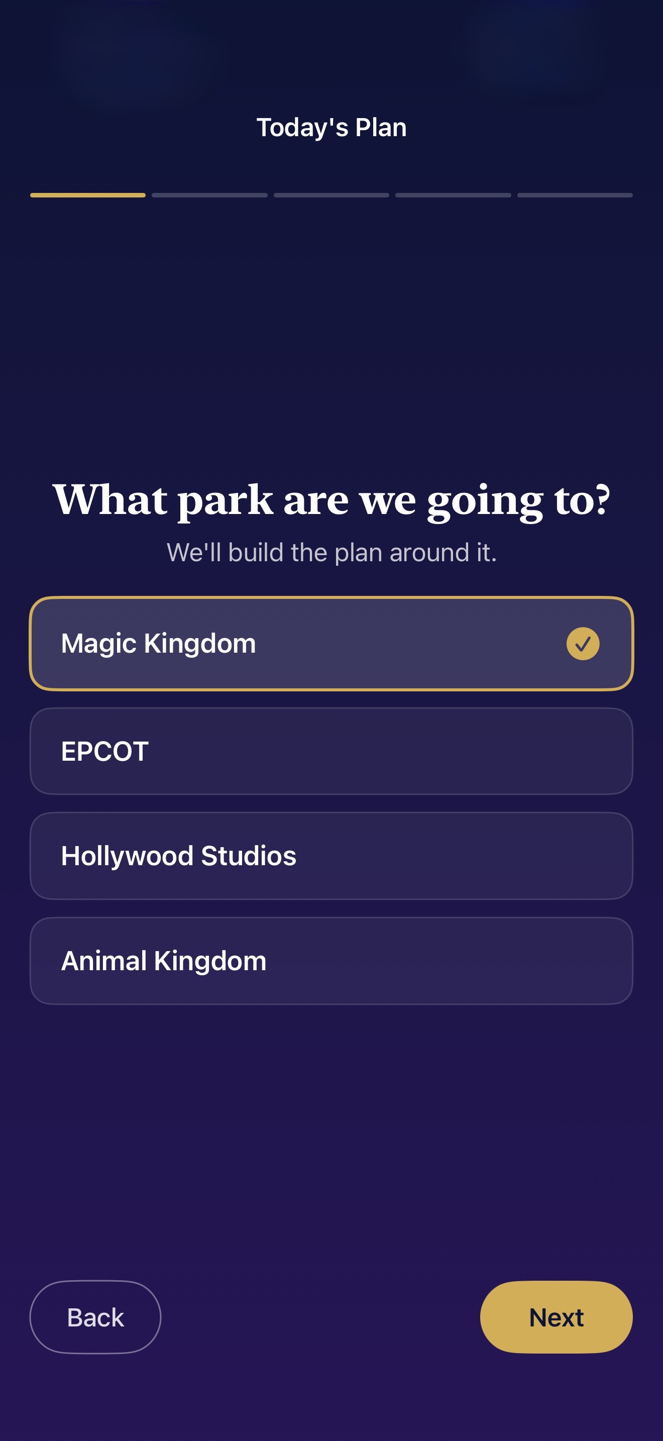 TODAY'S PLAN